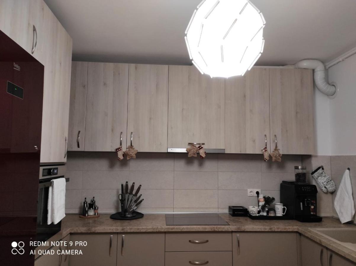 Luxury Mountain View Apartment Braşov Dış mekan fotoğraf