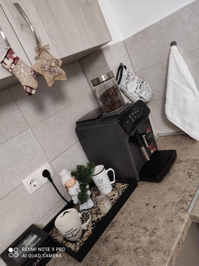 Luxury Mountain View Apartment Braşov Dış mekan fotoğraf