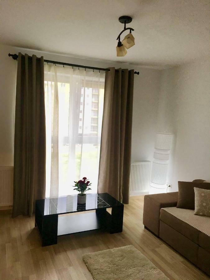 Luxury Mountain View Apartment Braşov Dış mekan fotoğraf