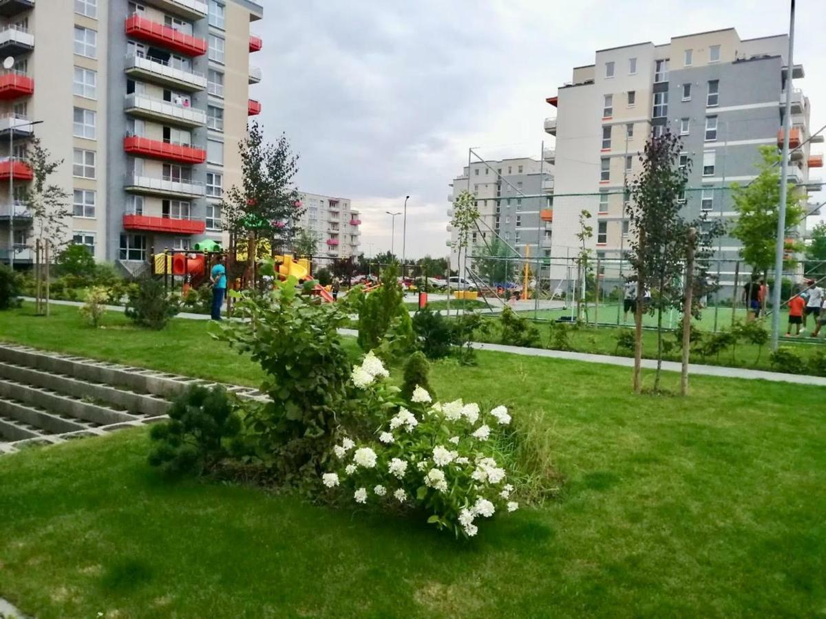 Luxury Mountain View Apartment Braşov Dış mekan fotoğraf